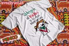 mkplayflorkfrasesmexa12