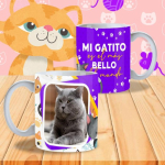 mktazgatitoscute3