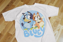mkplaybluey1