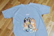 mkplaybluey11