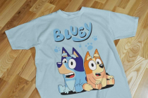 mkplaybluey15
