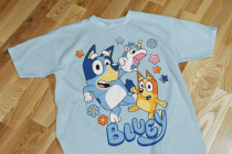 mkplaybluey16