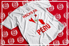 mkplayqueridoperu16