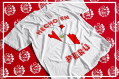 mkplayqueridoperu17