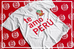 mkplayqueridoperu8