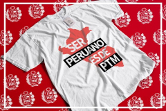mkplayqueridoperu9