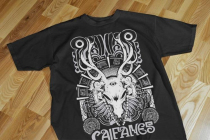 mkplaycaifanes20