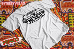mkplayteammexatequila21