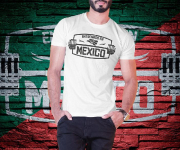 mkplayvivamexico15